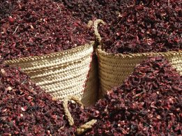 Dried hibiscus flowers.jpg